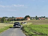 Zandlemig Vlaanderen